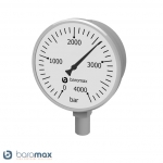 Pressure Gauges 